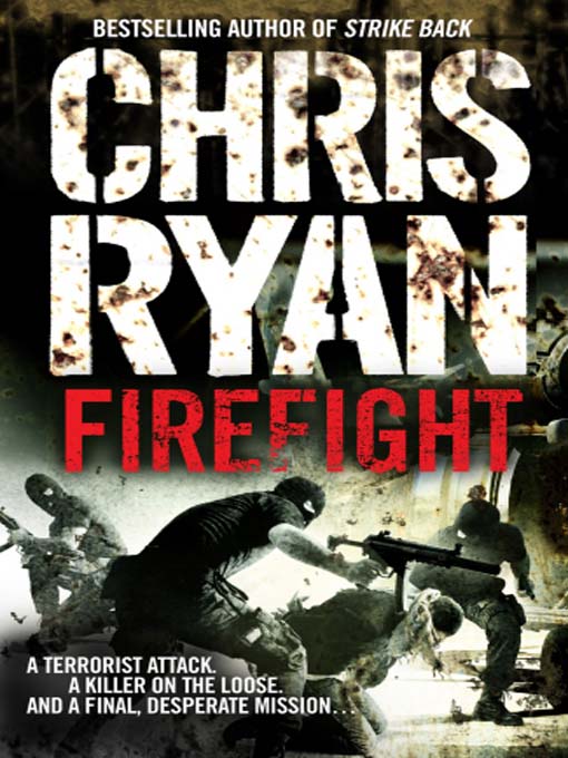Cover image for Firefight